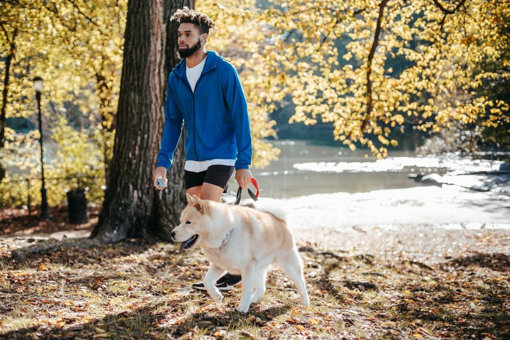 A man walking his dog through a sunlit park, demonstrating a healthy coping strategy and emotional reset through movement and time in nature.