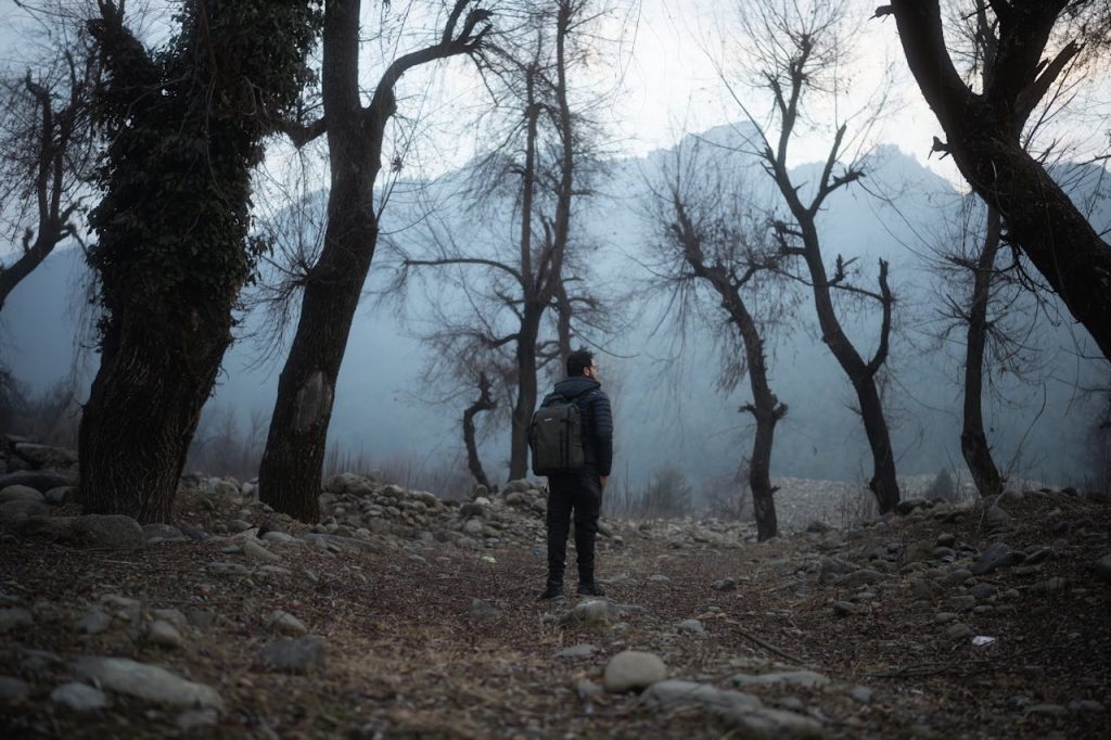 Man walking alone on a quiet forest trail surrounded by bare trees and misty mountains.